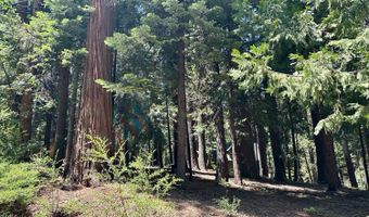 2913 Zuni Dr, Arnold, CA 95223