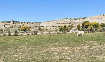 Xx ROAD 4599, Blanco, NM 87412