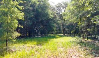 15422 SW 50TH Ave, Archer, FL 32618