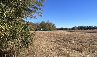 5151 Nash Rd, Batesville, MS 38606