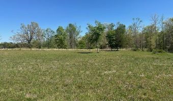 PEAR BLOSSOM Ln lot 10 And 11, Adamsville, TN 38310