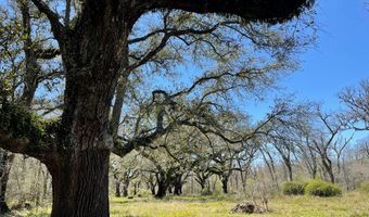 FM 521 TX, Angleton, TX 77515