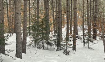 9606 Munger Rd, Afton, MI 49705