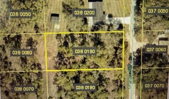 2313 Grant Ave, Alva, FL 33920