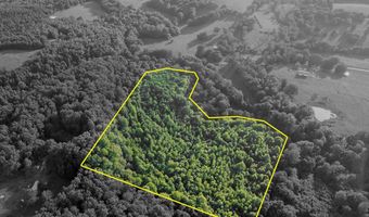 Co Rd 88, Anderson, AL 35610