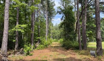 Fox Paw Court, Branchville, SC 29432