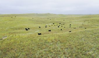 755 90 +/- Acres, Arnold, NE 69120