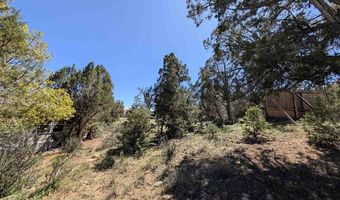 274 Deer Park, Arboles, CO 81121