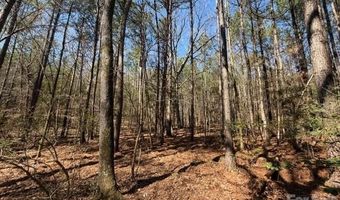 12 68 Acre 99 Rd, Blair, SC 29015