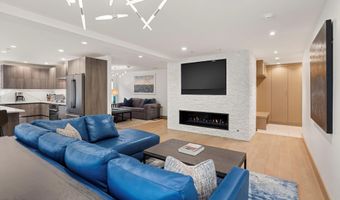 447 E Cooper Ave 1, Aspen, CO 81611