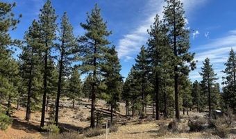 187 Duane Bliss Way Lot 42, Carson City, NV 89705