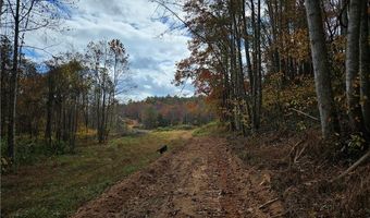 125 Ahart Ridge Rd 163, Ararat, VA 24053