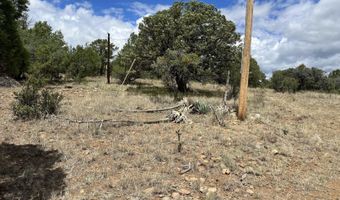 415 XYZ, Arenas Valley, NM 88022