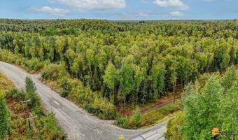 6092 S Purinton Pkwy, Big Lake, AK 99623