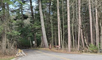 L15 & L16 N Elm Street, Adams, WI 53910