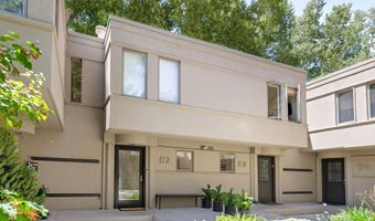 814 W Bleeker St B2, Aspen, CO 81611