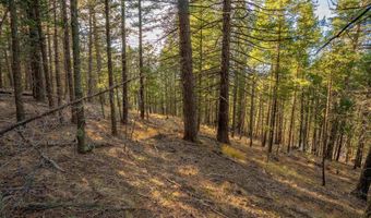 El Camino Real lot 35, Angel Fire, NM 87710