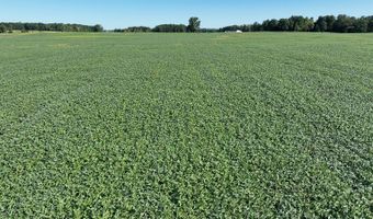 4194 CR 64, Auburn, IN 46706