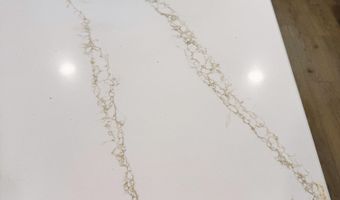 2603 STORM BRANCH Rd, Beech Island, SC 29842