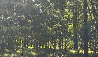 001 Farr Rd, Bolton, MS 39041
