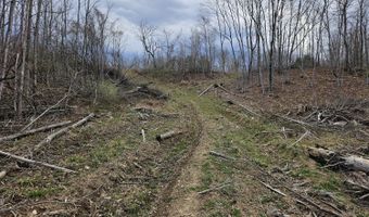 295 Shellstone Rd, Amsterdam, NY 12010