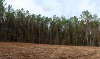 00002 Trickhambridge Rd, Brandon, MS 39042