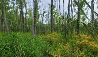 45 Acres 108th Ave, Allegan, MI 49010