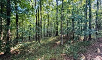 1550 Dennis Smith Rd, Brookhaven, MS 39601