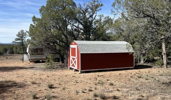 5 Deer Droppings, Ash Fork, AZ 86320