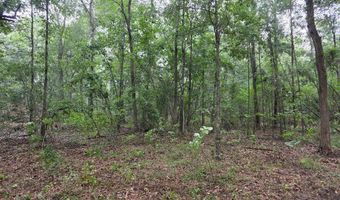 Blume Road lot 9, Alto, TX 75925