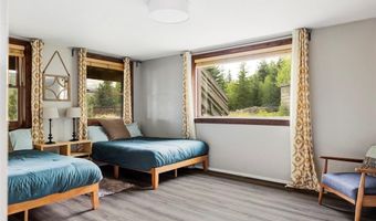 133 GOLD RUN Rd, Alma, CO 80440