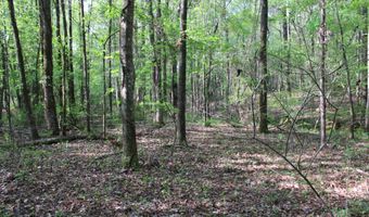Ruffner Road 00, Barnesville, GA 30204