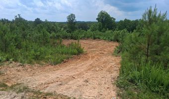 Tract 1 Tucker Road, Bath Springs, TN 38311