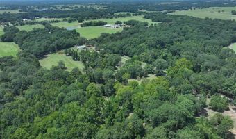 2063 RS County Road 2370 Rd, Alba, TX 75410