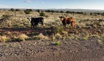 572 Windmill Rd, Carrizozo, NM 88301