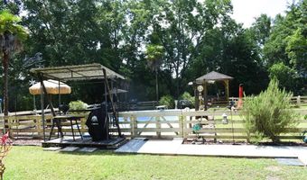 394 Griffin Ave, Attapulgus, GA 39815