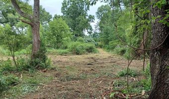 9250 92nd St SE, Alto, MI 49302