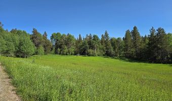 1650 Last Resort Ln, Ashton, ID 83420