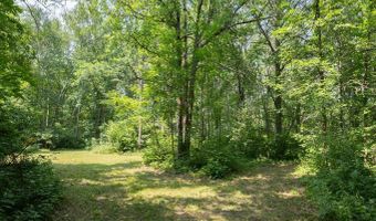 4134 Division St W, Backus, MN 56435