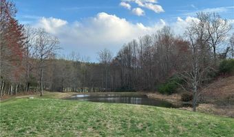 Tbd IKE SLATE LANE, Ararat, VA 24053
