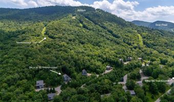 53 Ammonoosuc Dr, Bartlett, NH 03812