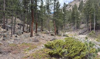 122 Black Hollow Rd, Bellvue, CO 80512