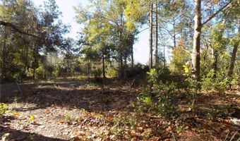 11090 107 Ter, Archer, FL 32618