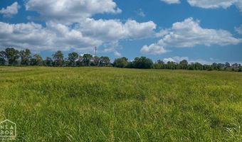 14 Acres Highway 463, Bay, AR 72411