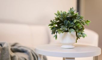 1228 Via Candelas, Oceanside, CA 92056