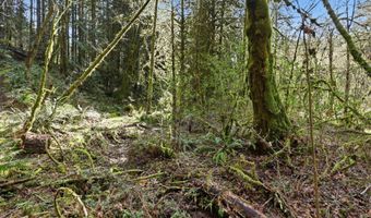 NW Green Mountain Rd 1, Banks, OR 97106
