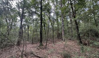 North 5 Ac Keyser Mill Road, Baker, FL 32531