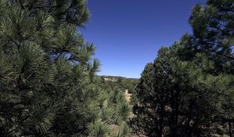 146 Antler Dr Lot 115A, Alto, NM 88312