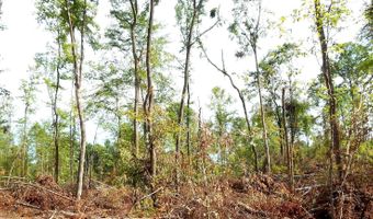 590 County Road 247, Bruce, MS 38915