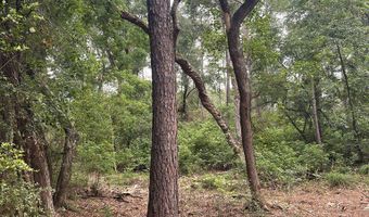 R15685 Moore Cemetery Road, Apple Springs, TX 77519